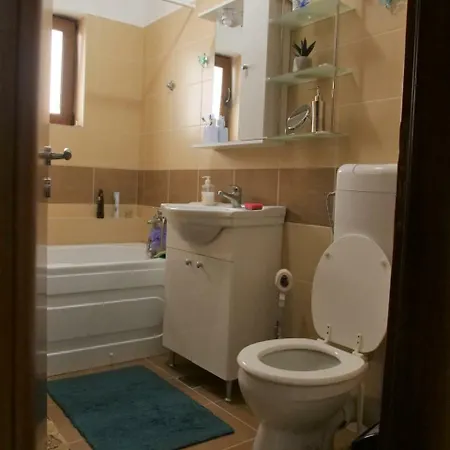 Apartament Dan *